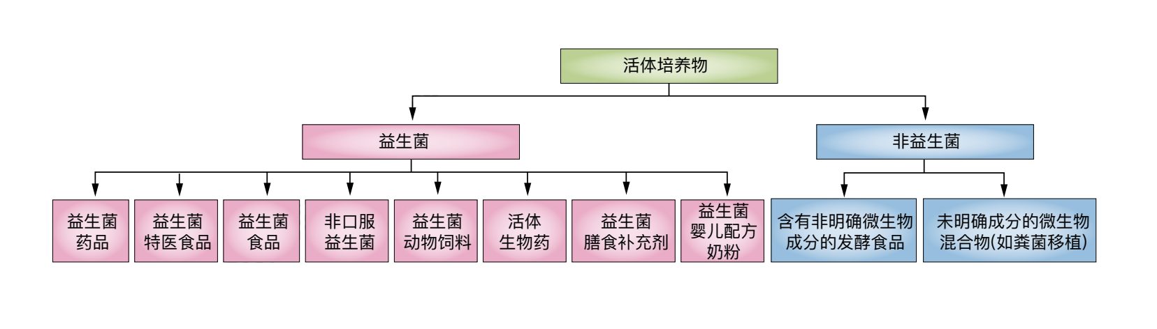 益生菌產(chǎn)品的定義和范圍